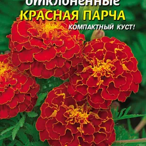 

Бархатцы Красная парча отклоненные 45 шт, Плазменные семена