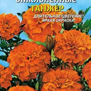 

Бархатцы Танжер отклоненные 45 шт, Плазменные семена