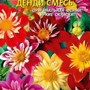 

Георгина Денди 13 шт, Плазменные семена