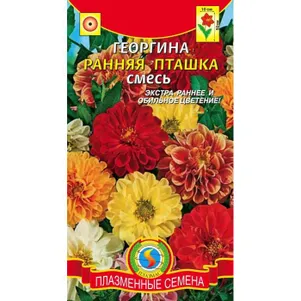 Георгина Ранняя пташка, смесь, 12 шт, Плазменные семена