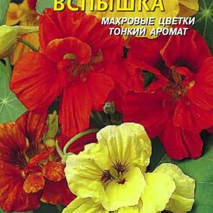 

Настурция Вспышка, 9 шт, Плазменные семена