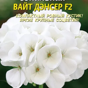 Пеларгония Вайт Дэнсер F2 зональная 3 шт, Плазменные семена