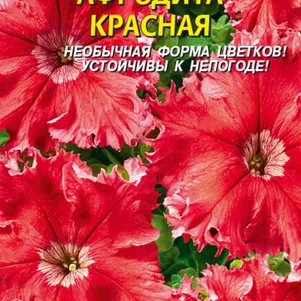 Петуния Афродита Красная крупноцветковая F1 10 шт Плазменные семена 89₽