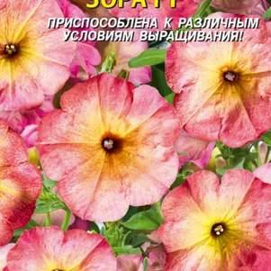

Петуния Зора F1 многоцветковая 10 шт, Плазменные семена