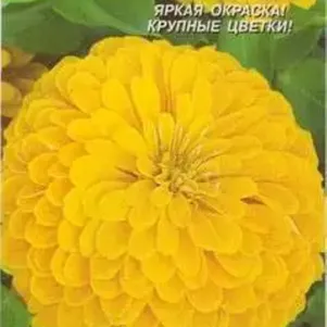 

Цинния Канарейка, 0,3 гр, Плазменные семена