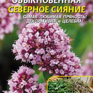 

Душица (орегано) Северное сияние 0,1 г, Плазменные семена