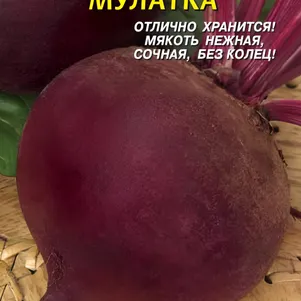 

Свекла Мулатка 2 г, Плазменные семена