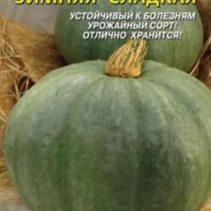 Тыква Зимняя сладкая 2 г Плазменные семена 29₽