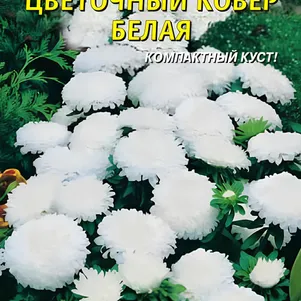 Астра Цветочный ковер БЕЛАЯ 0,2 г, Плазменные семена