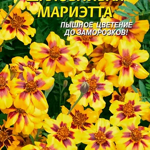 Бархатцы Шаловливая Мариэтта 45 шт, Плазменные семена