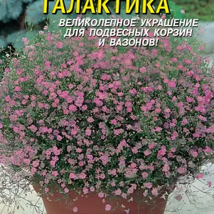 Гипсофила Галактика 0,005г, Плазменные семена