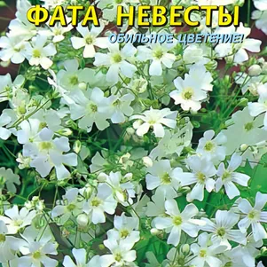 

Гипсофила Фата невесты 0,3 г, Плазменные семена