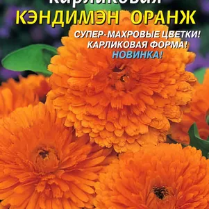 

Календула карликовая Кэндимэн Оранж 0,2г, Плазменные семена