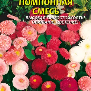 Маргаритка Помпонная, смесь 0,05г, Плазменные семена