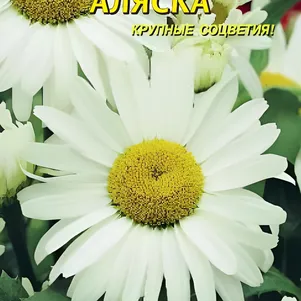 

Нивяник Аляска 0,2г, Плазменные семена