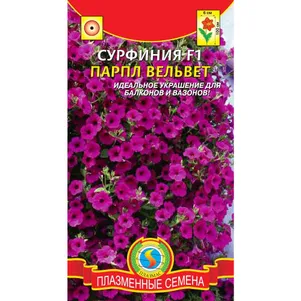 Сурфиния Парпл Вельвет F1 5 драже в пробирке Плазменные семена 181₽