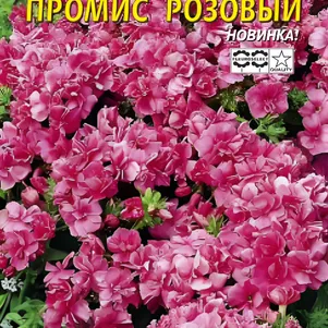 

Флокс Промис Розовый махровый 5 шт, Плазменные семена