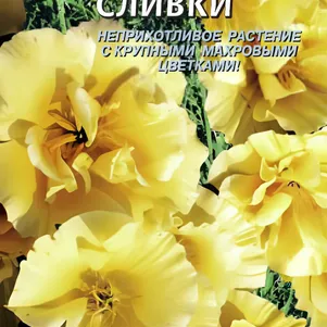 

Эшшольция Сливки 0,02г,Плазменные семена