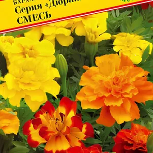 Бархатцы Дюранго Смесь (РС-1) отклонённые 10 шт, Семена Престиж