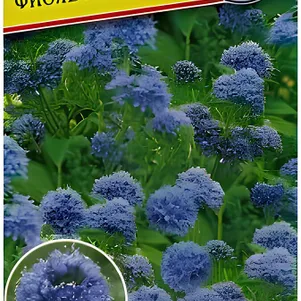 

Гилия Фиолетово-синяя, 0,1 г, Семена Престиж