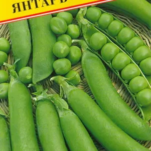 Горох Янтарь РС-1 4 г Семена Престиж 24₽