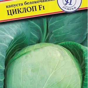 Капуста Циклоп F1 белокочанная 10 шт, Семена Престиж