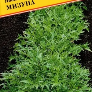 Японская капуста Мизуна (РС-1) 10 шт, Семена Престиж