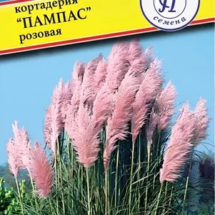 Кортадерия Пампас Розовая (РС-1) 0,05 г, Семена Престиж