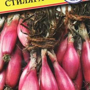 Лук шалот Стиляга (РС-1) 0,5 г, Семена Престиж