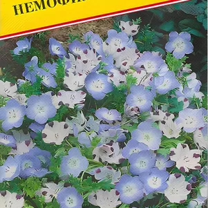 Немофила (РС-1) 10 шт, Семена Престиж