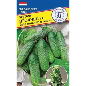 Огурец Проликс F1 для шпалер и окон 5 шт Семена Престиж 72₽