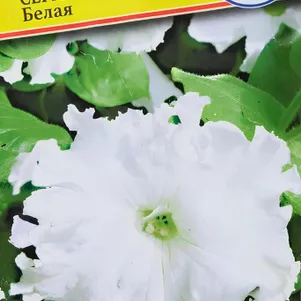 Петуния Афродита смесь F1 5 др Семена Престиж 27₽