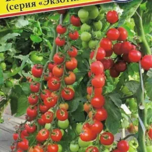 Томат Бамбино F1 5 шт Семена Престиж 68₽