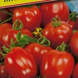 Томат Виолетта F1 3 шт Семена Престиж 75₽