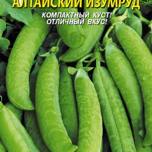 Горох Алтайский Изумруд 7 г, Плазменные семена