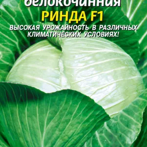Капуста Ринда F1 белокочанная 10 шт, Плазменные семена