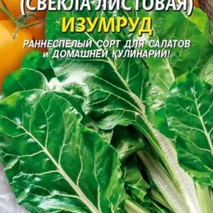 Мангольд (Свекла листовая) Изумруд 2 г, Плазменные семена