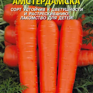 Морковь Амстердамская 2 г Плазменные семена 29₽