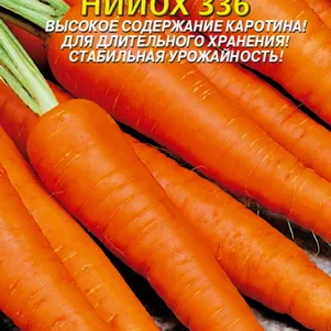 

Морковь НИИОХ 336 2 г, Плазменные семена