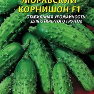 Огурец Моравский корнишон F1 12 шт Плазменные семена 29₽