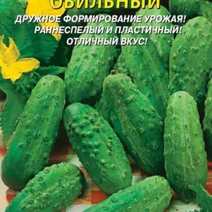 Огурец Обильный 12 шт Плазменные семена 29₽
