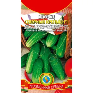 

Огурец Северный крепыш F1 8 шт, Плазменные семена