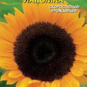 Подсолнечник Лакомка 5 г Плазменные семена 29₽