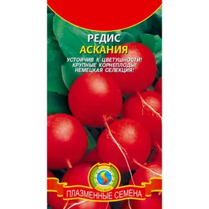Редис Аскания 2 г, Плазменные семена