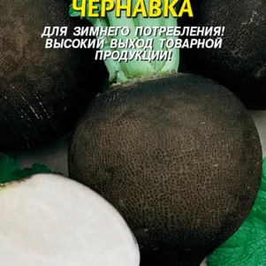 Редька Чернавка зимняя 1 г, Плазменные семена