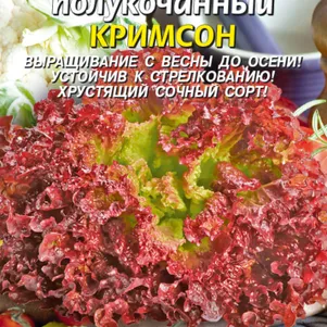 Салат Кримсон полукочанный 0,5 г, Плазменные семена