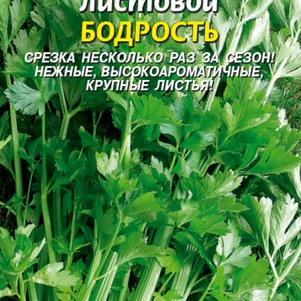 Сельдерей Бодрость листовой 0,5 г, Плазменные семена