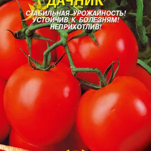 Томат Дачник 0,1 г, Плазменные семена