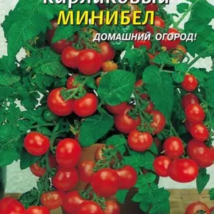 Томат Минибел карликовый 15 шт, Плазменные семена