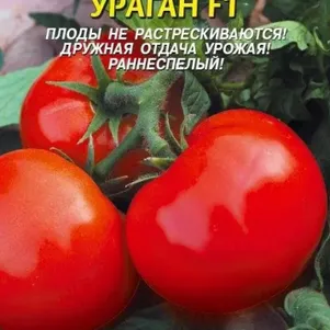 Томат Ураган F1 10 шт, Плазменные семена